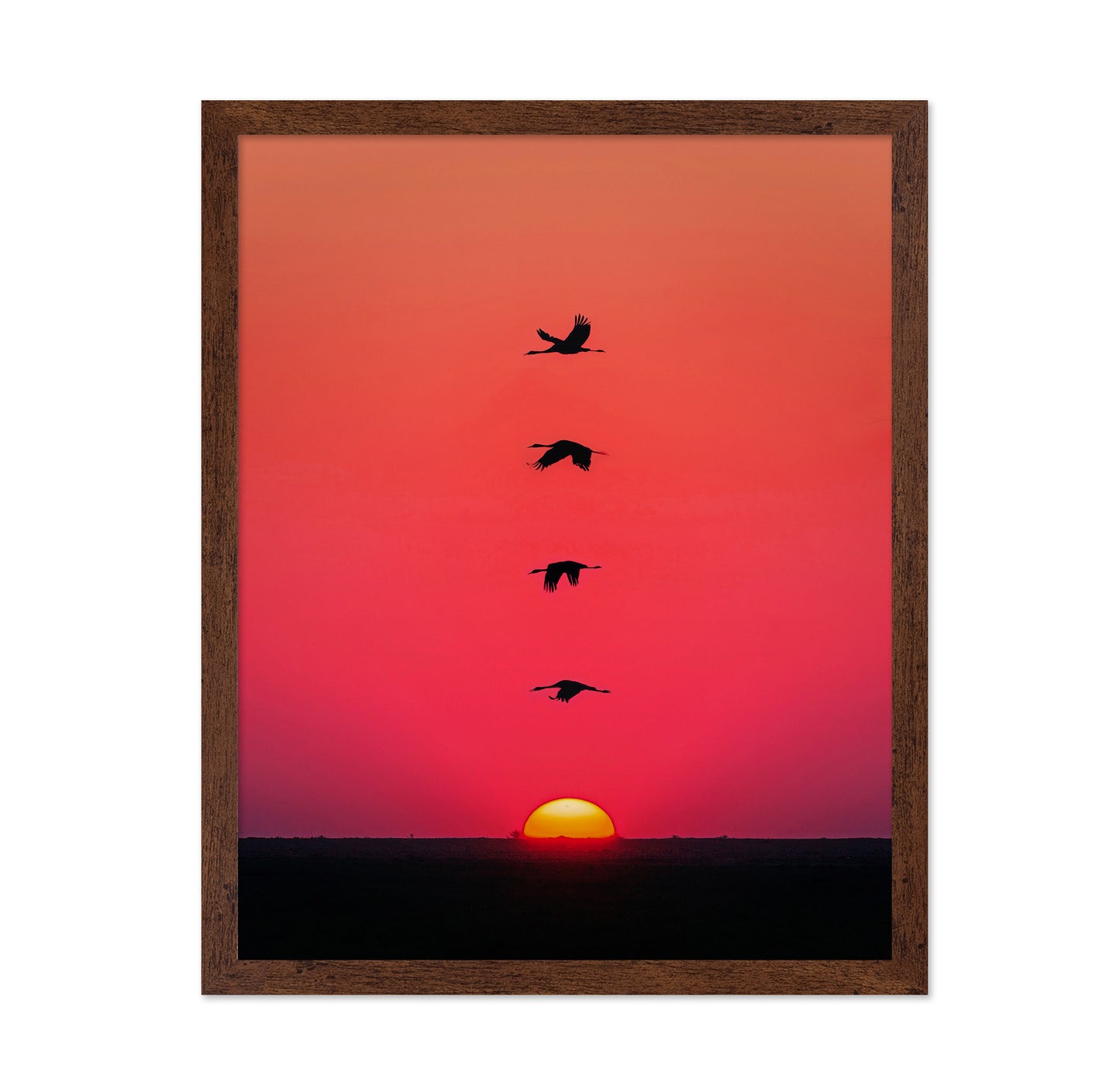 Sunset Birds