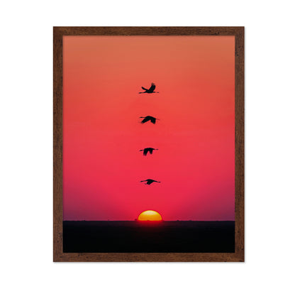 Sunset Birds