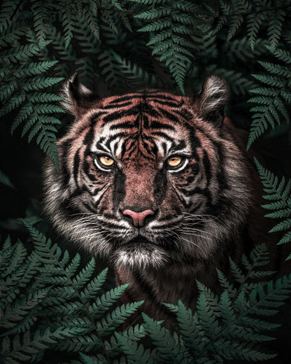 Jungle Majesty