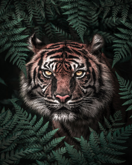 Jungle Majesty