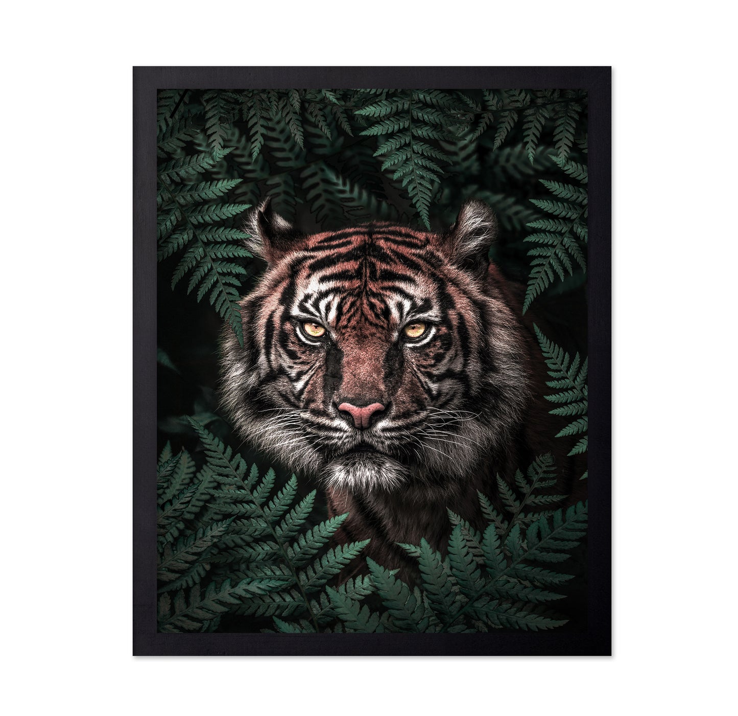 Jungle Majesty