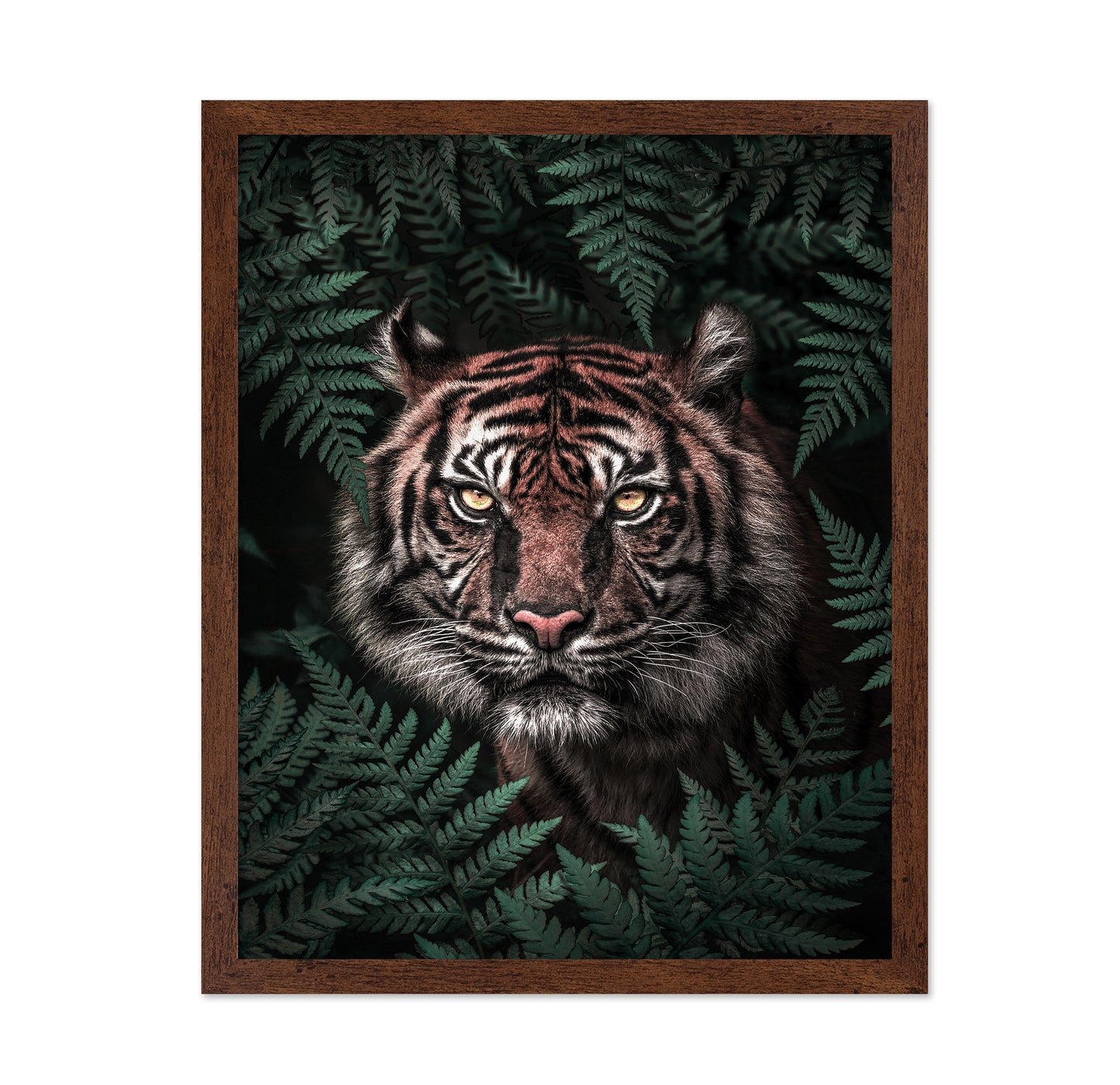 Jungle Majesty