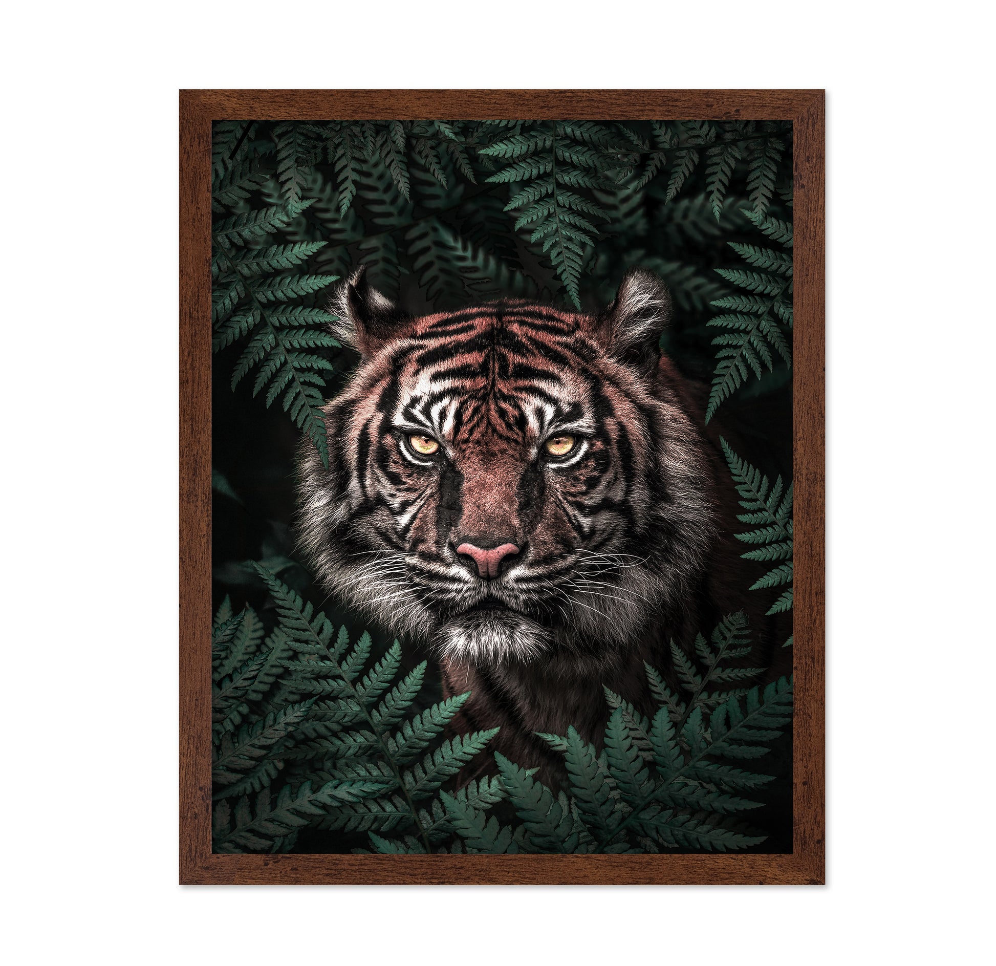 Jungle Majesty