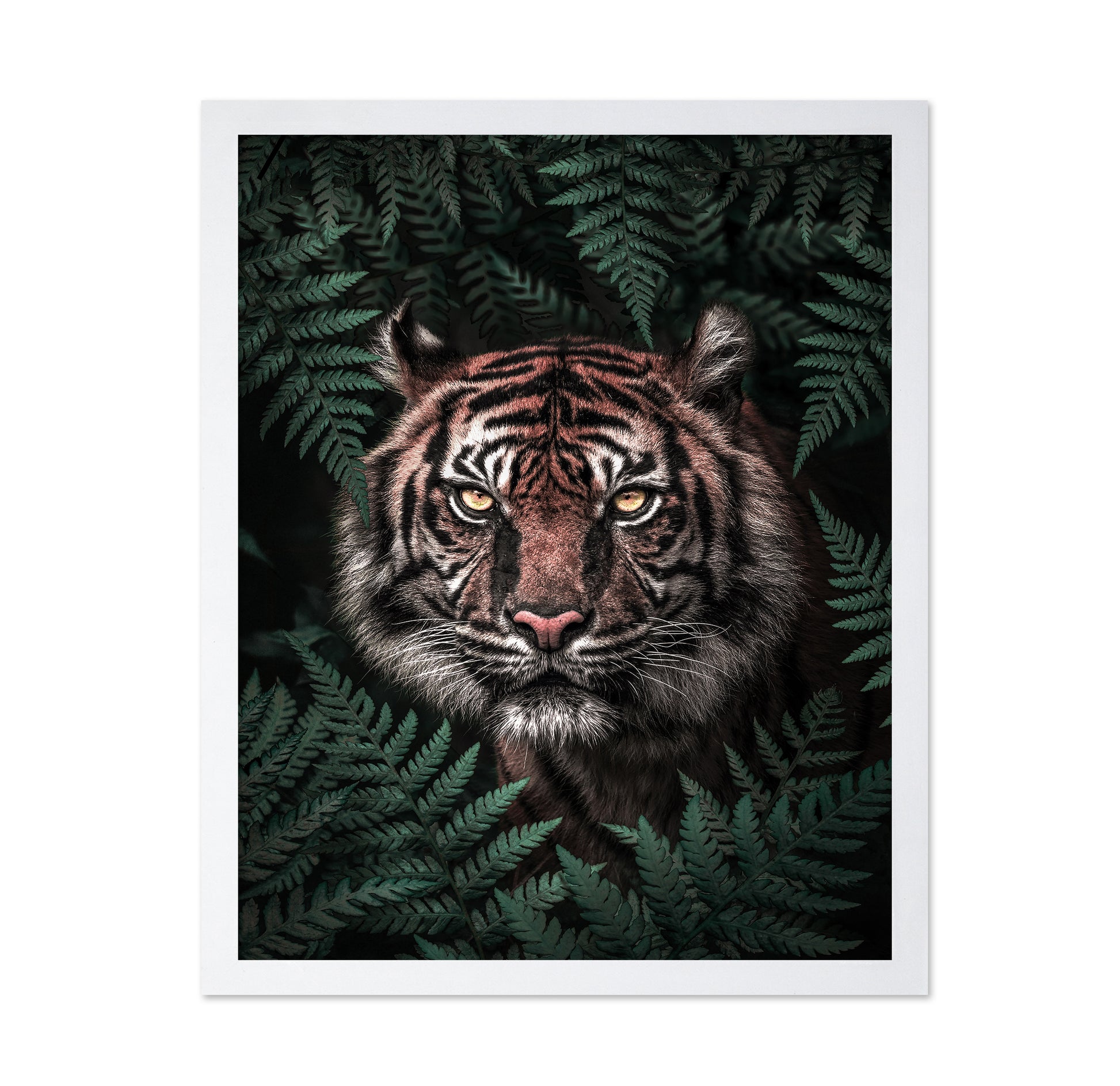 Jungle Majesty