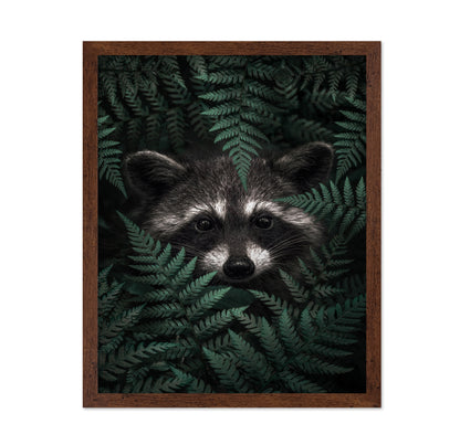 Raccoon In The Forest