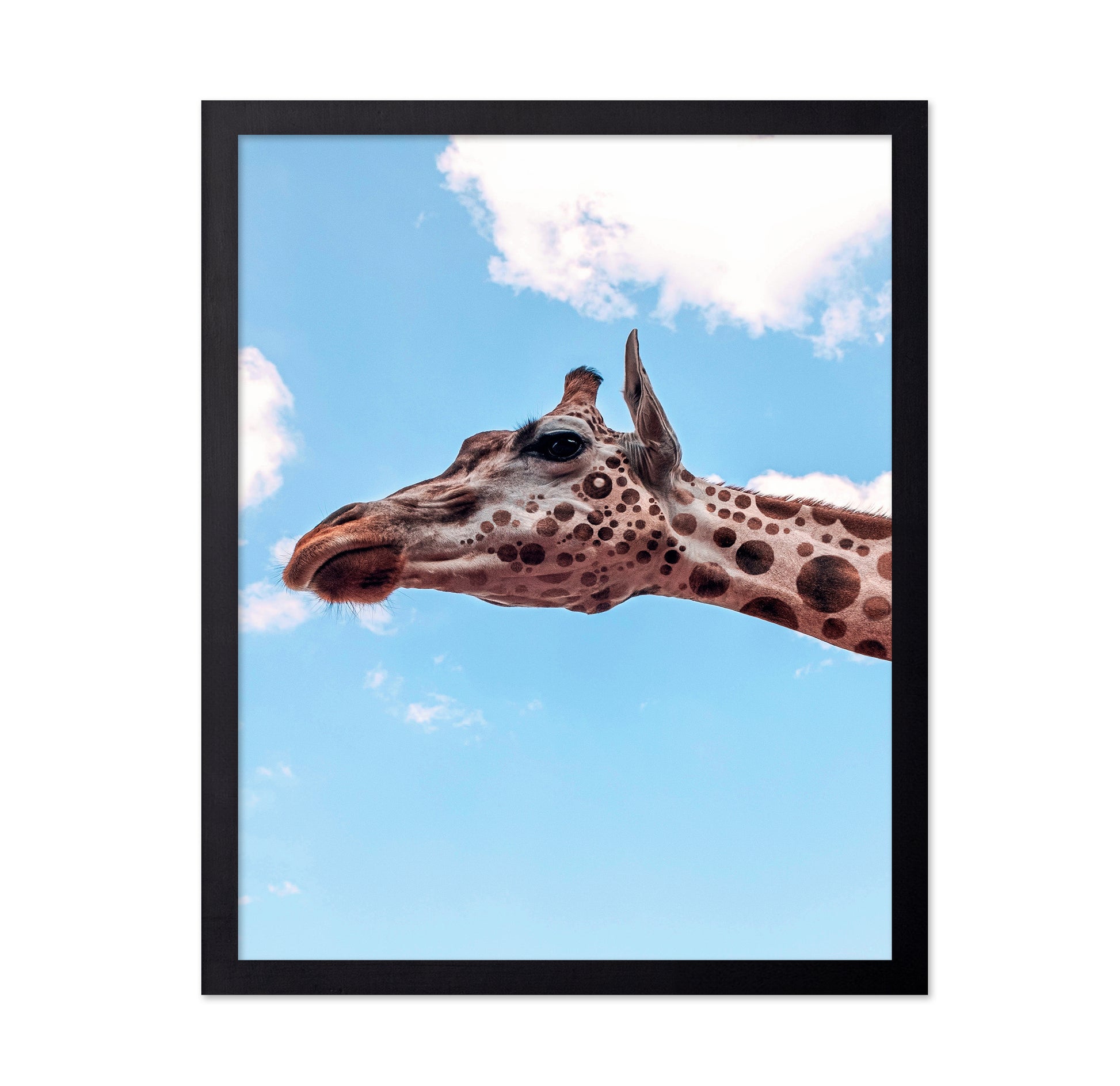 Polkadots Giraffe Head