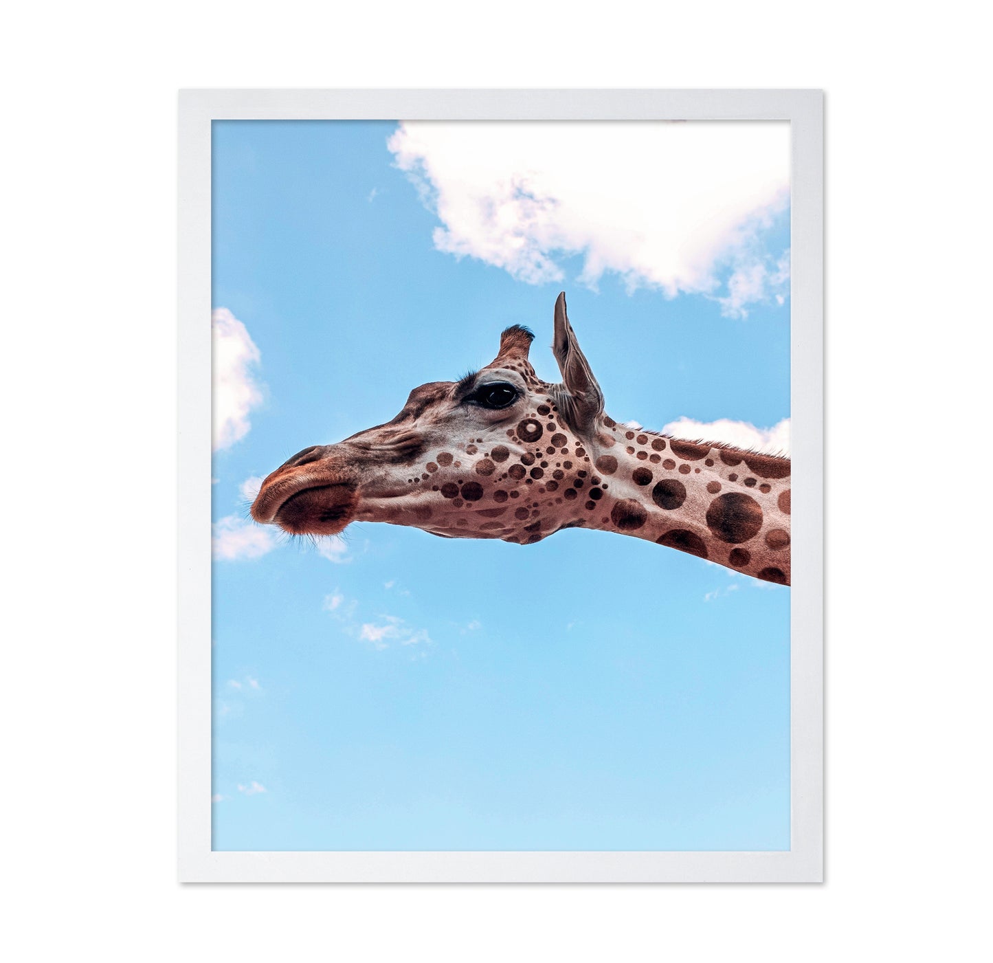 Polkadots Giraffe Head