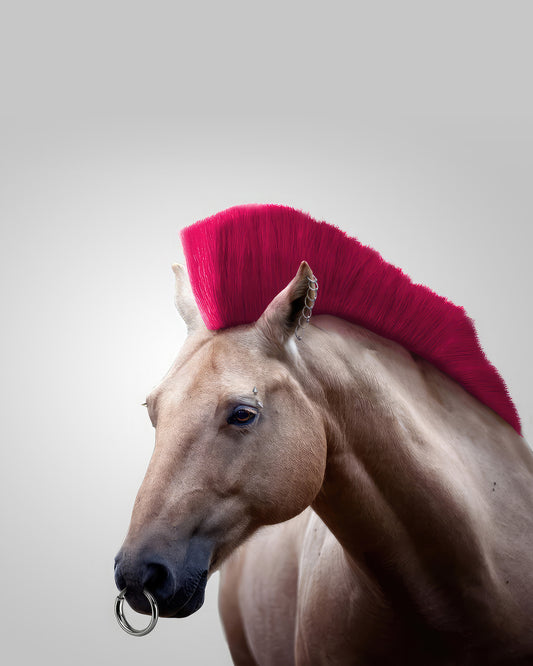Wild Horse