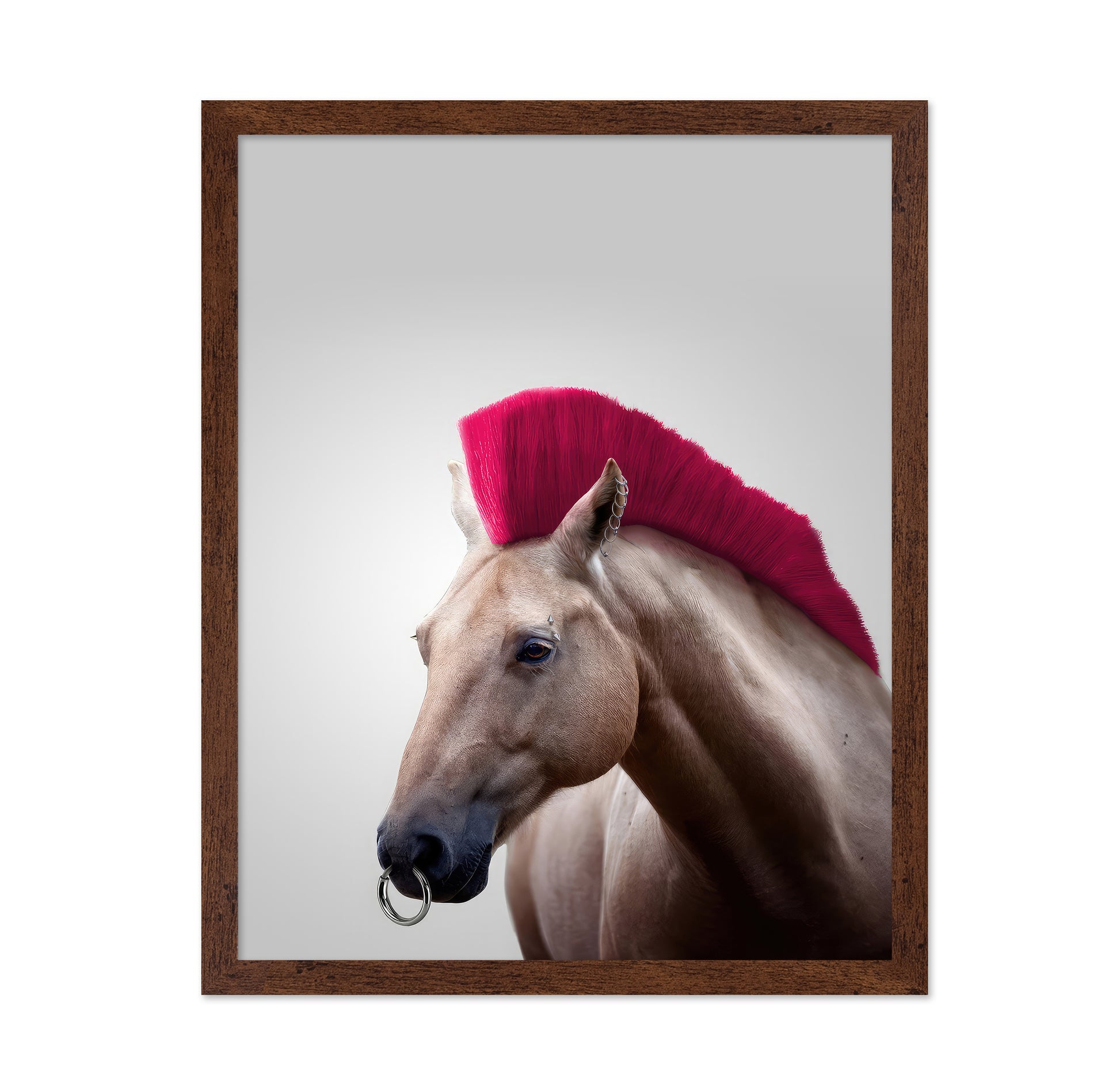 Wild Horse