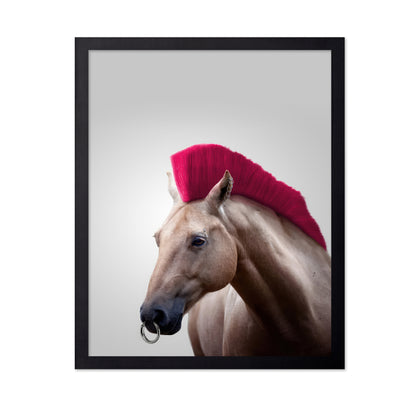 Wild Horse