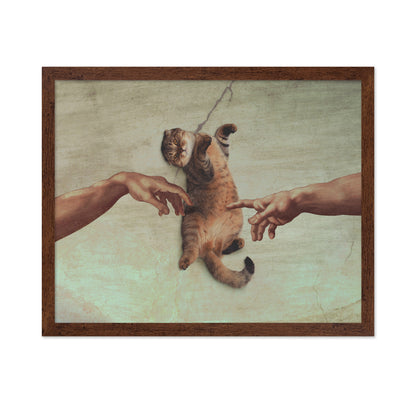 Touch of the Kitty