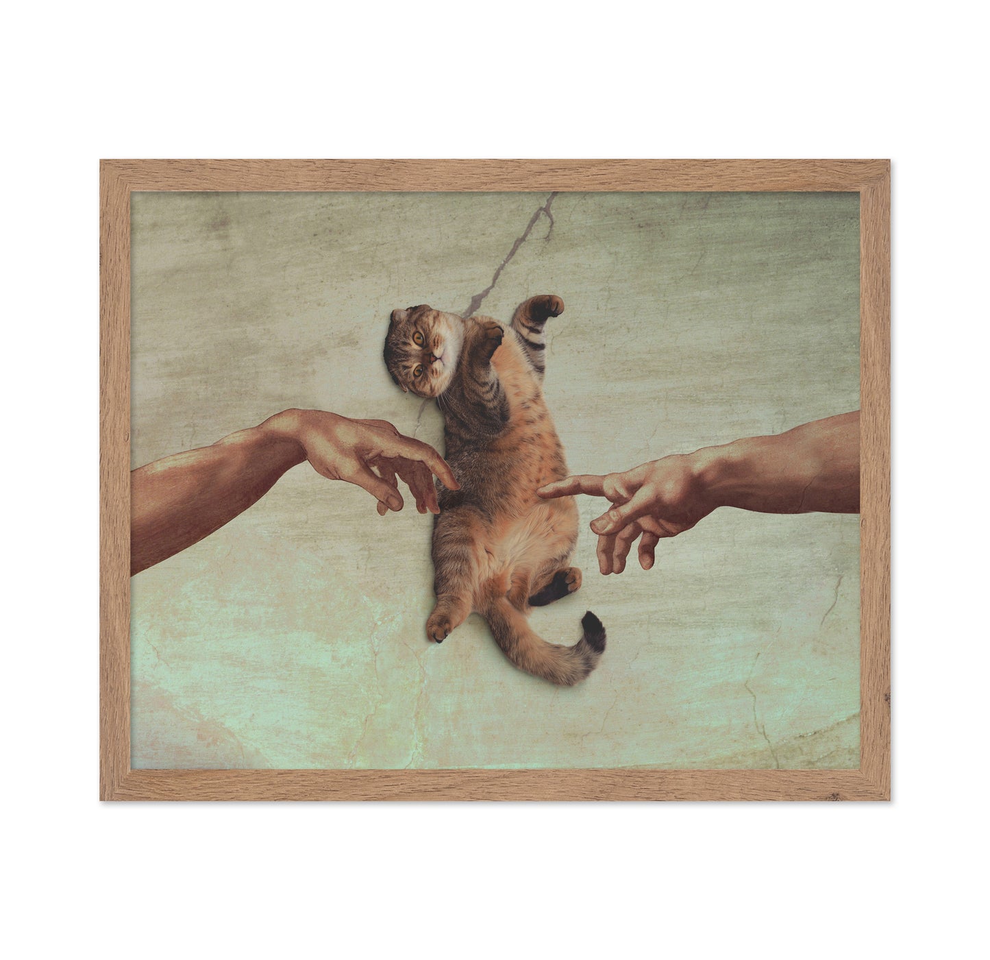 Touch of the Kitty