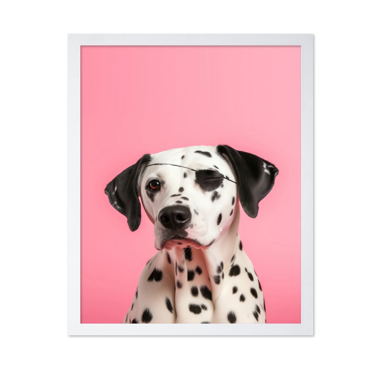 Pirate Dog