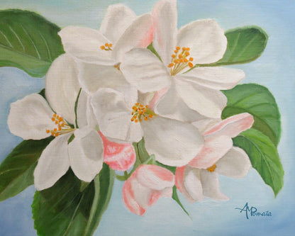 Apple Blossom No1