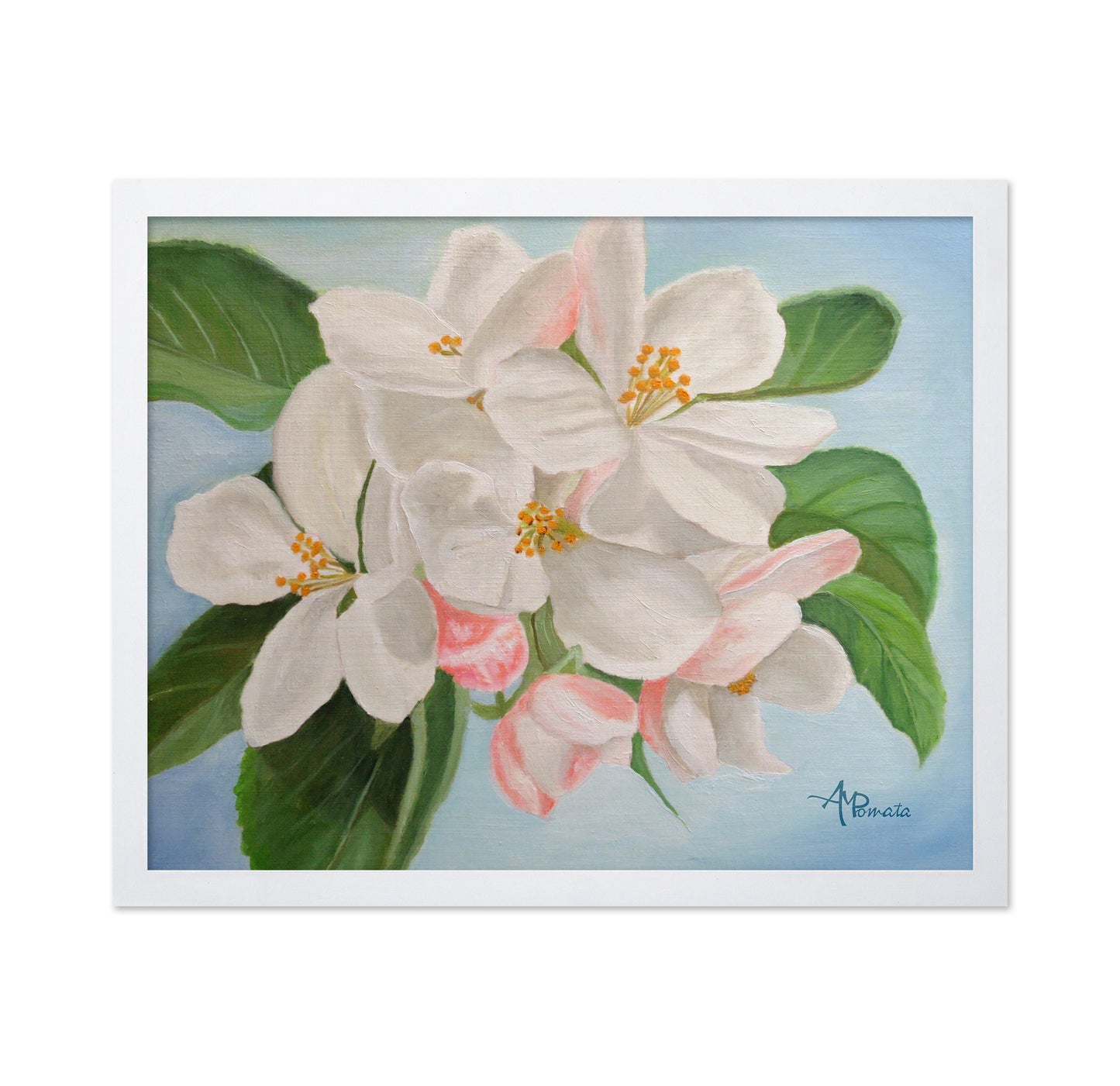 Apple Blossom No1