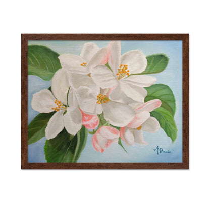 Apple Blossom No1