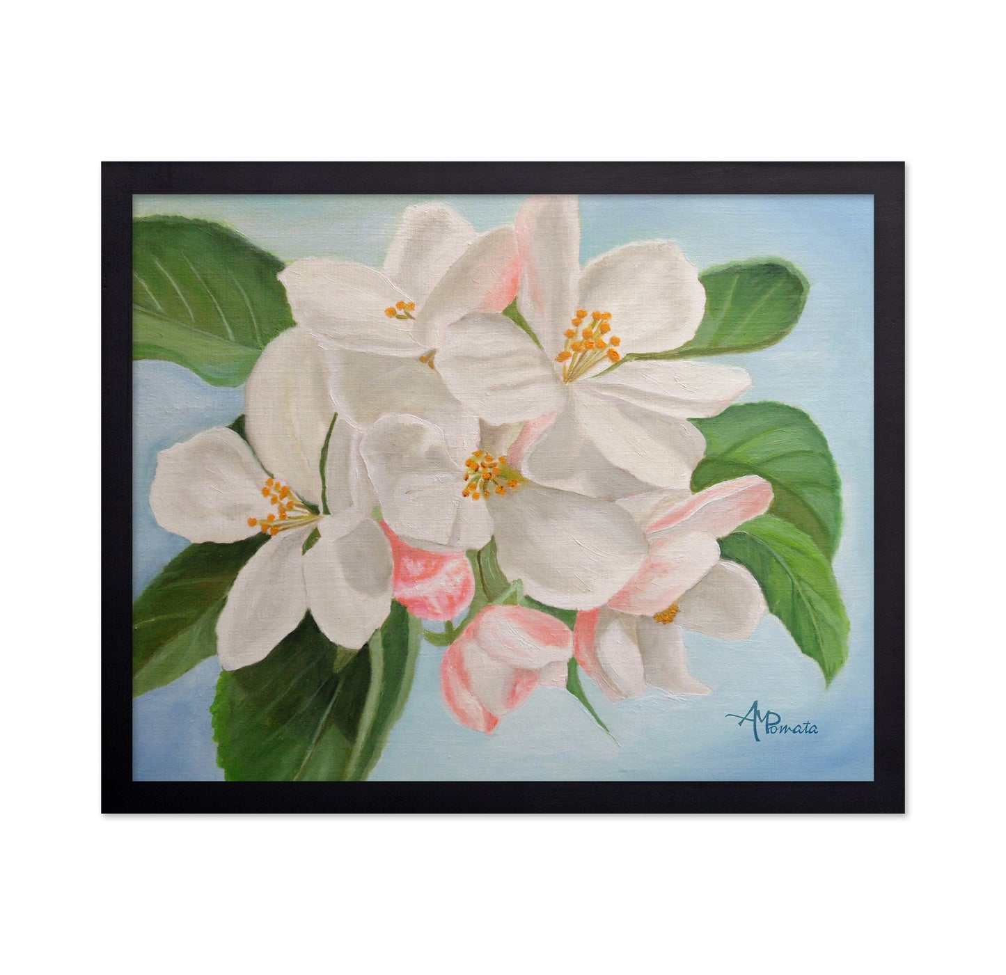 Apple Blossom No1