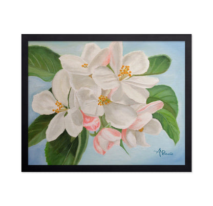 Apple Blossom No1