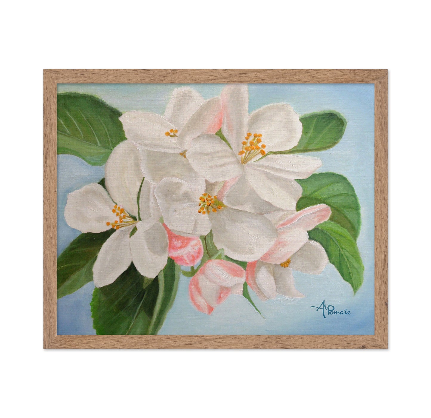 Apple Blossom No1
