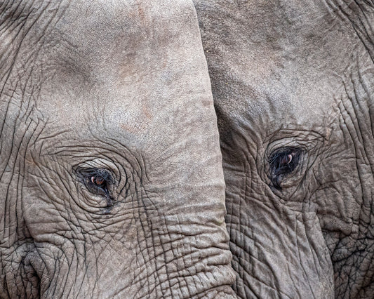 Face to Face