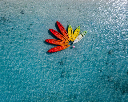 The Flower