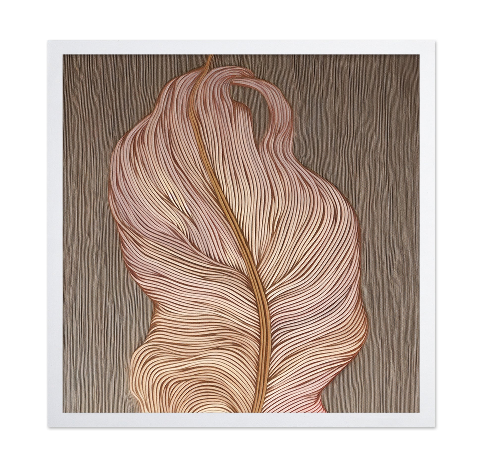 Flora