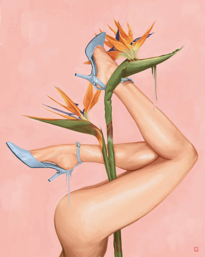 Bird of Paradise