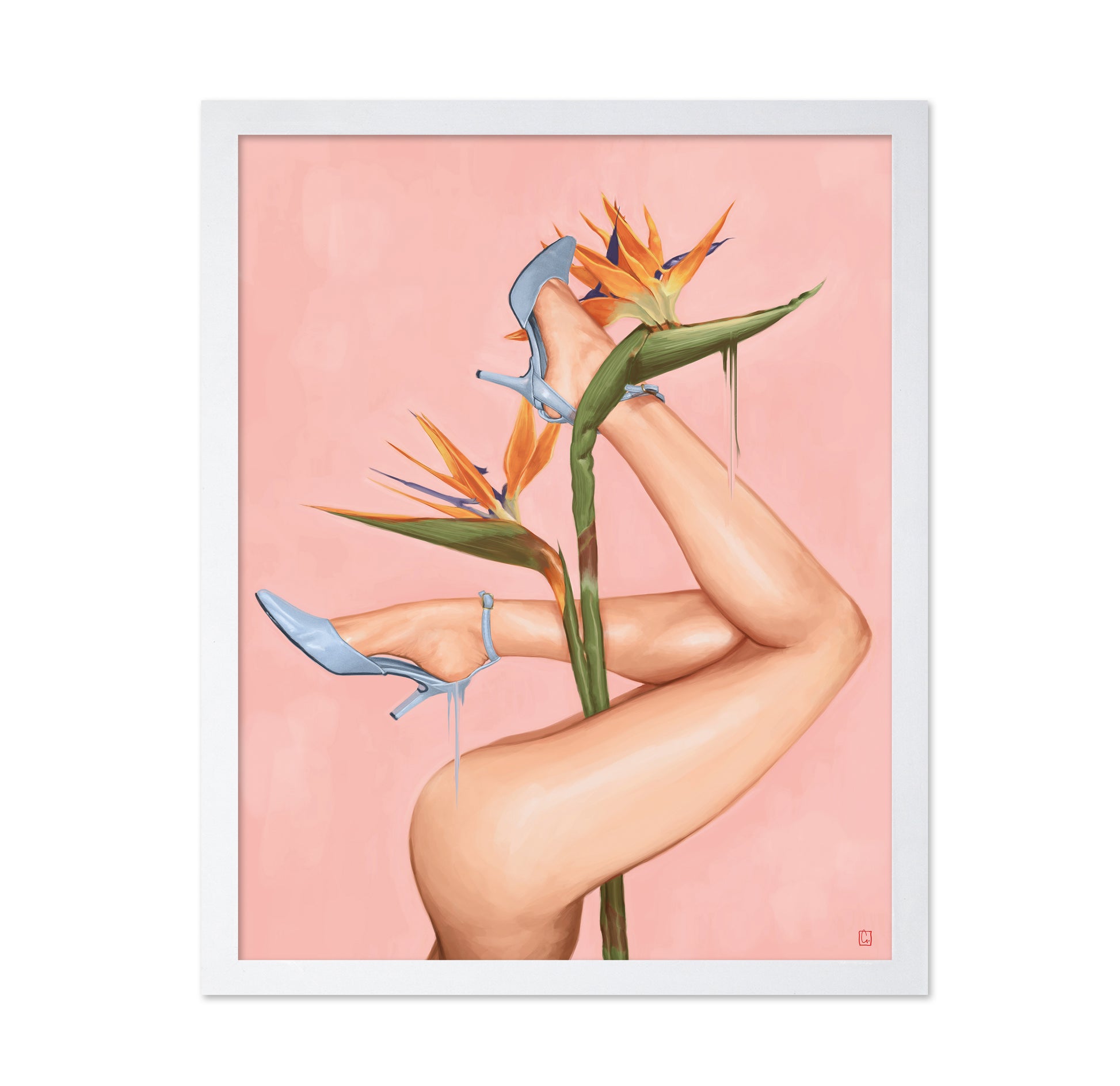 Bird of Paradise