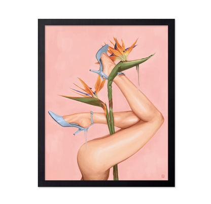 Bird of Paradise