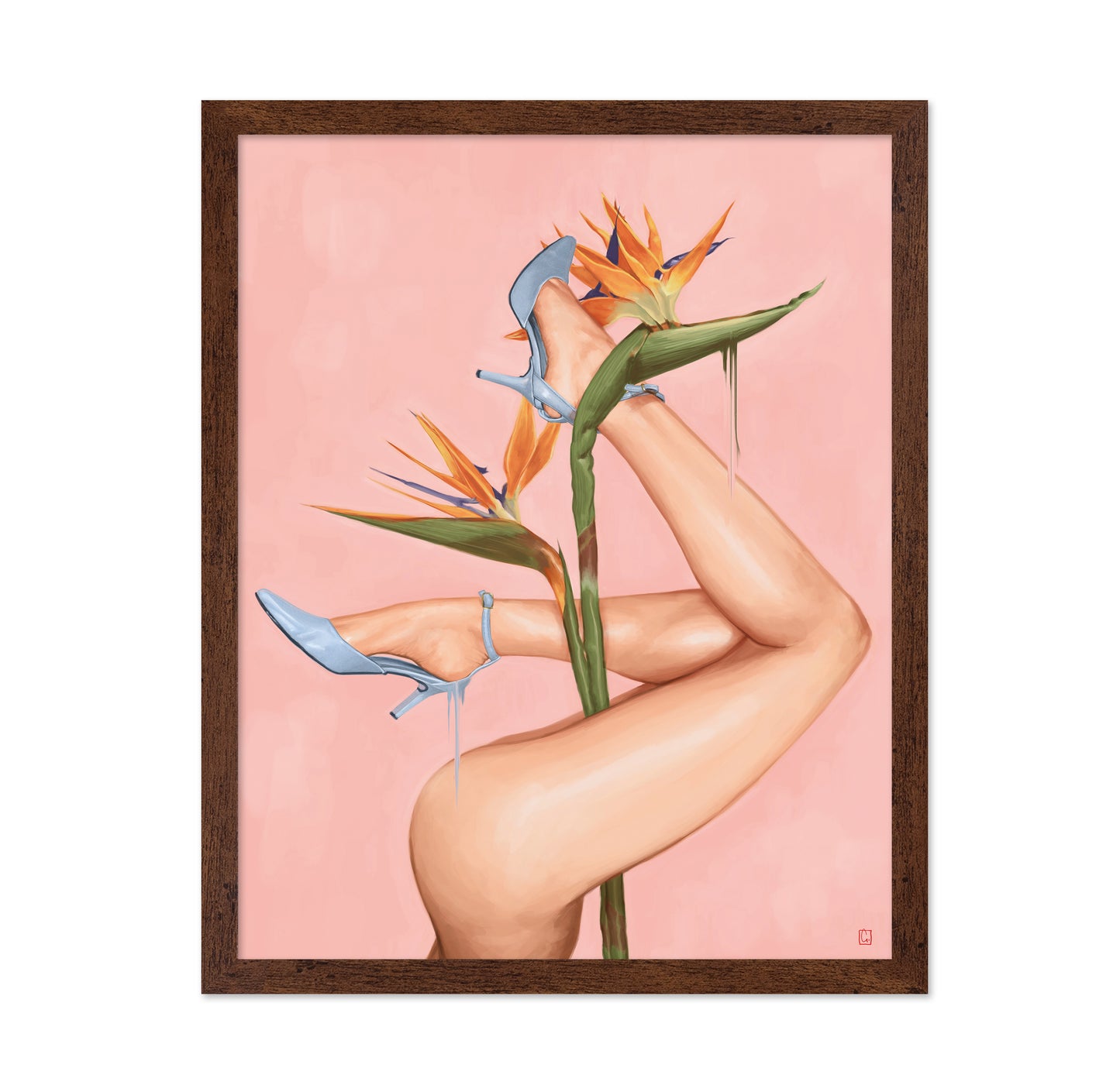 Bird of Paradise