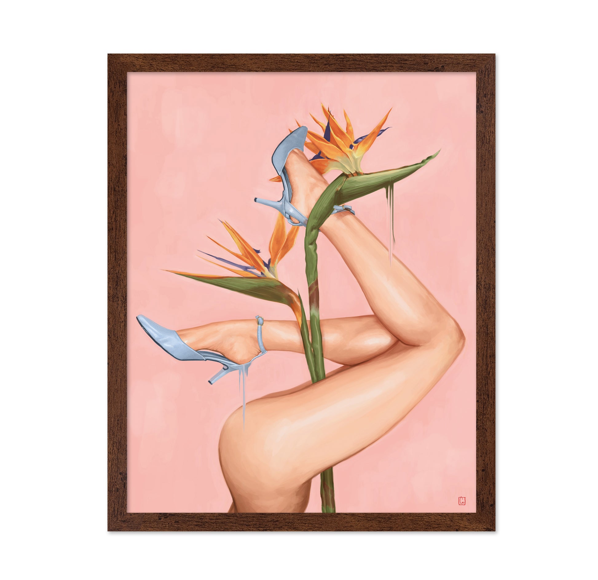 Bird of Paradise
