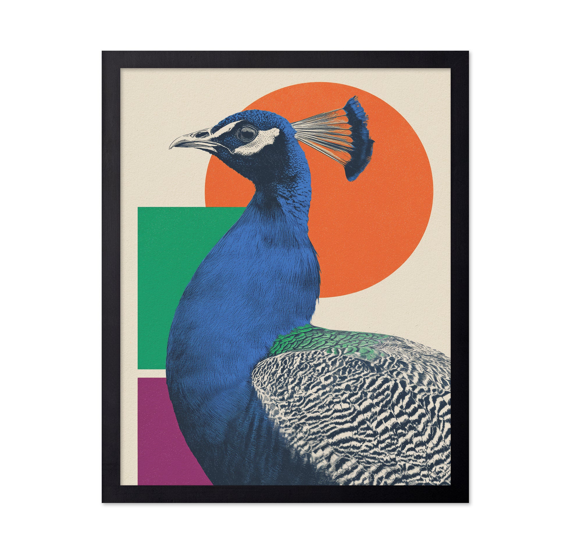 The Peacock