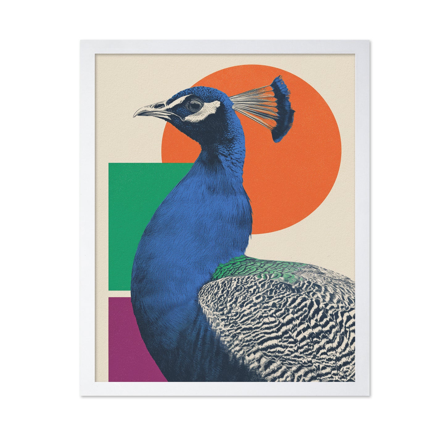 The Peacock