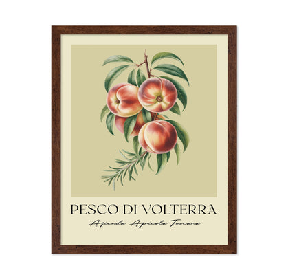 Pesco Di Volterra