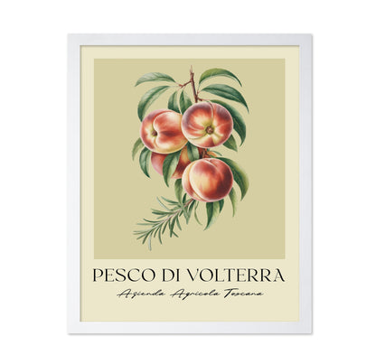 Pesco Di Volterra