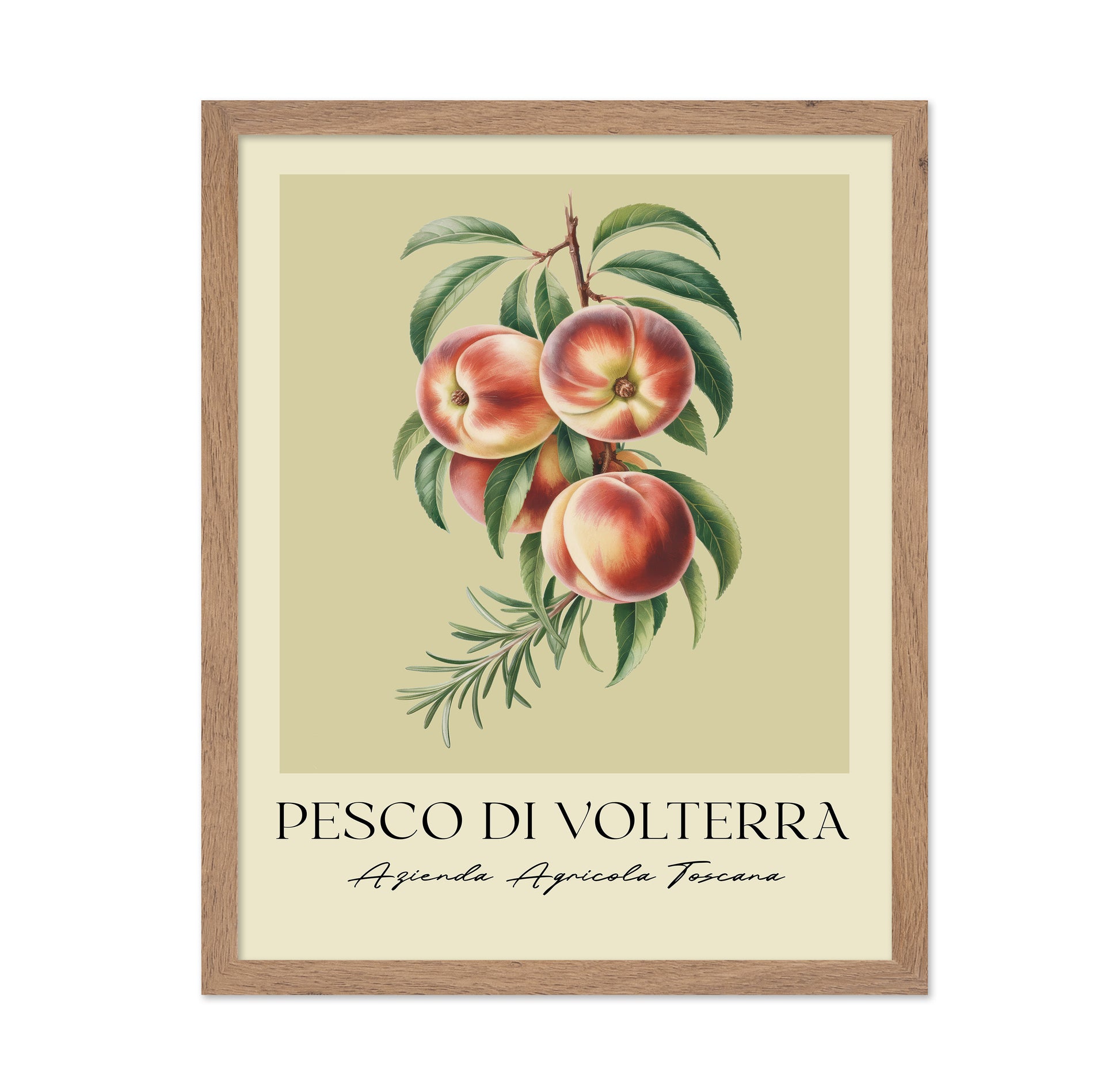 Pesco Di Volterra