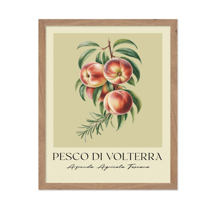 Pesco Di Volterra