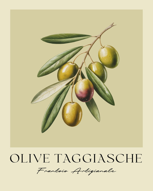 Olive Taggiasche