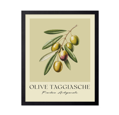 Olive Taggiasche