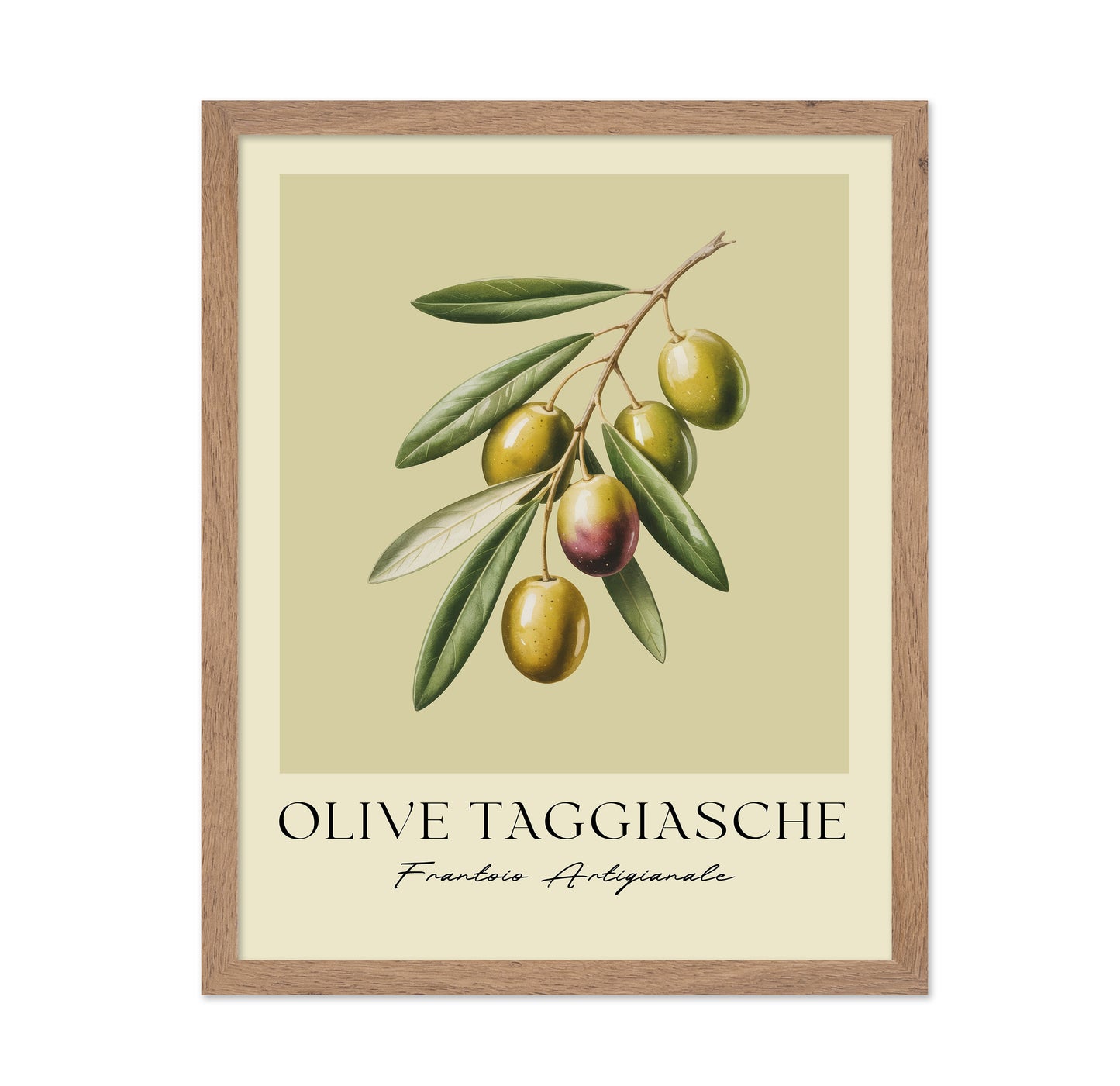 Olive Taggiasche