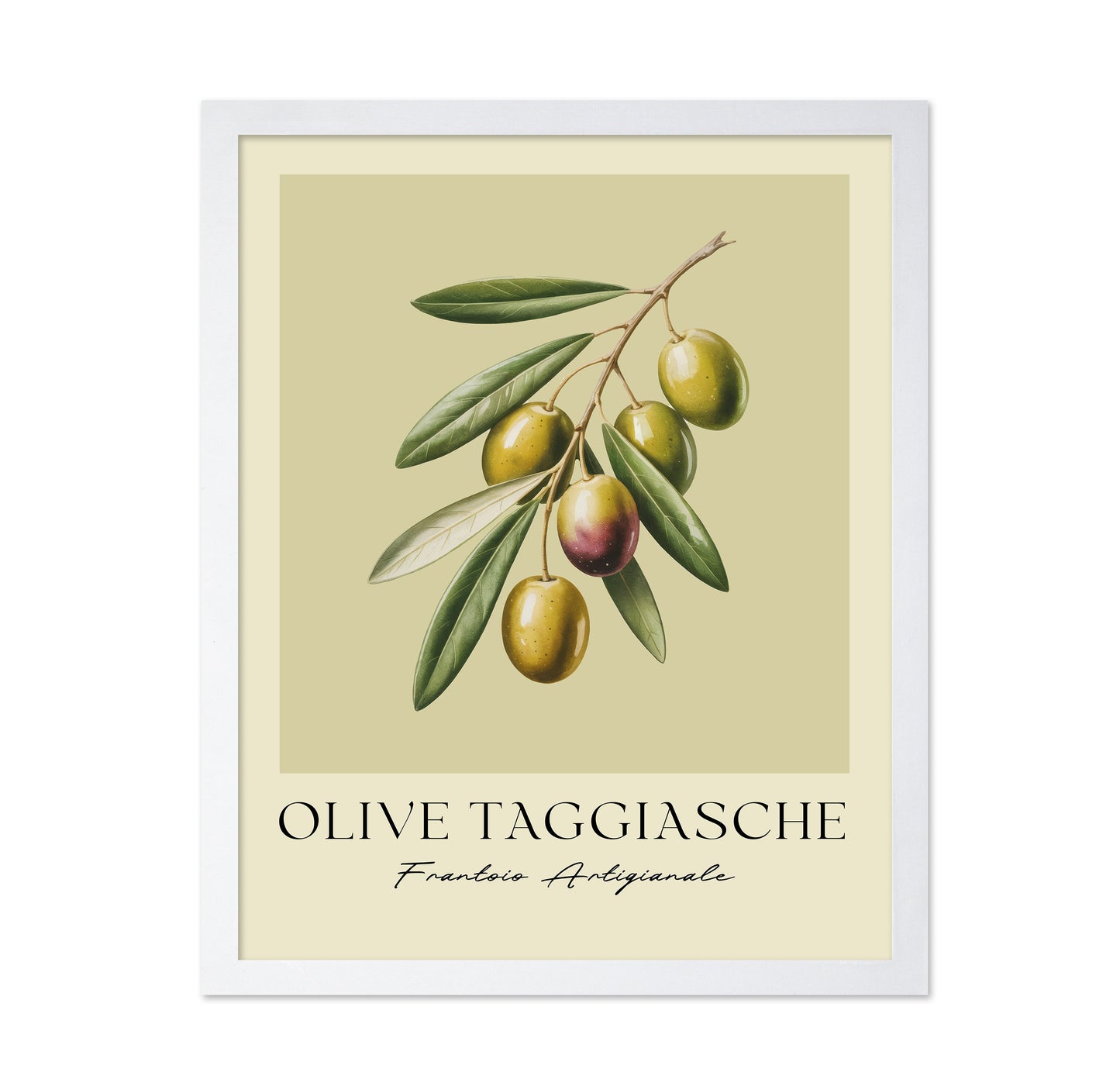 Olive Taggiasche