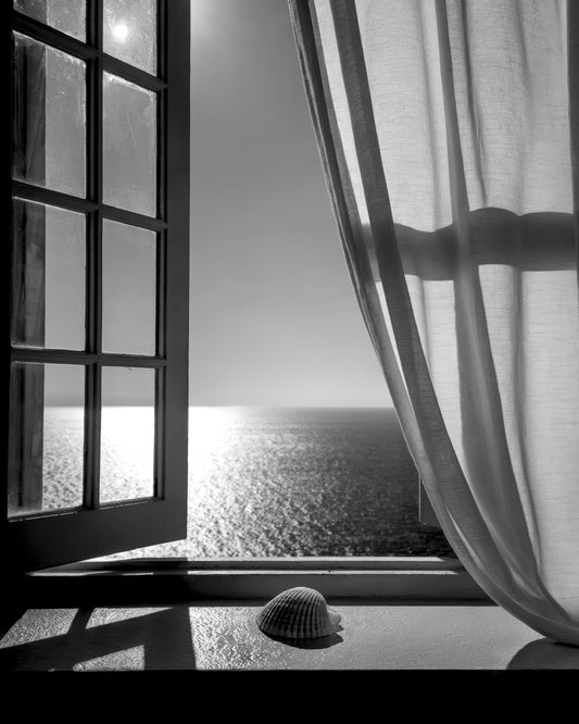 The Seashell In the Window