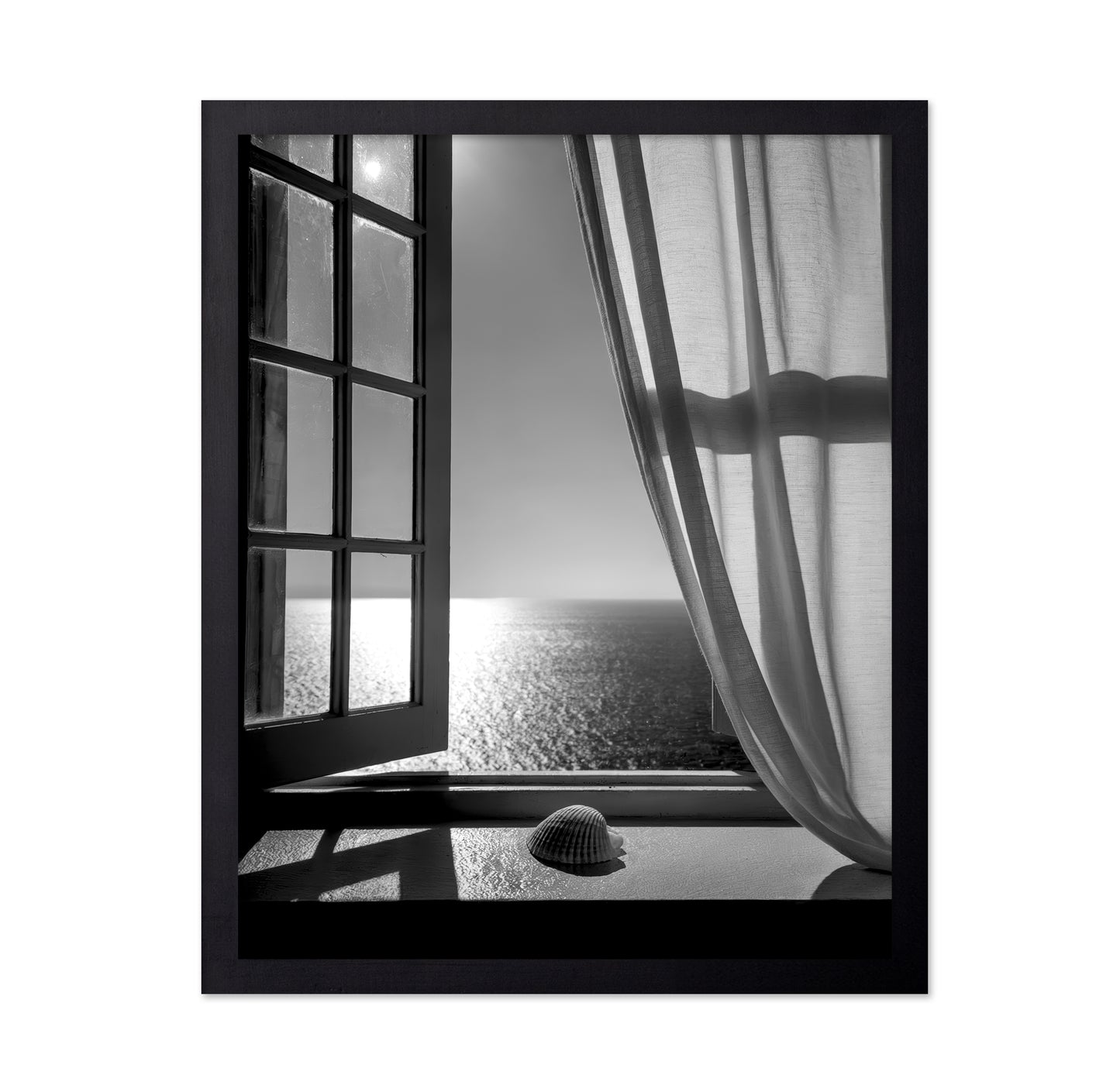 The Seashell In the Window