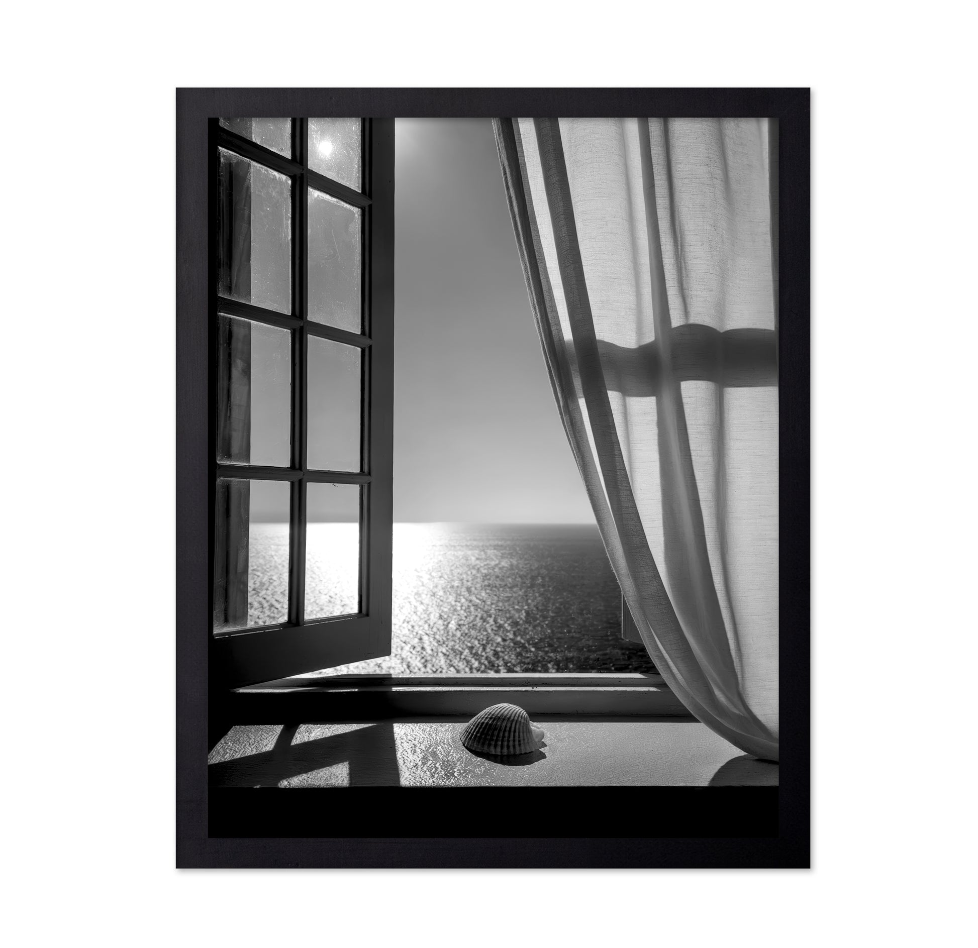 The Seashell In the Window