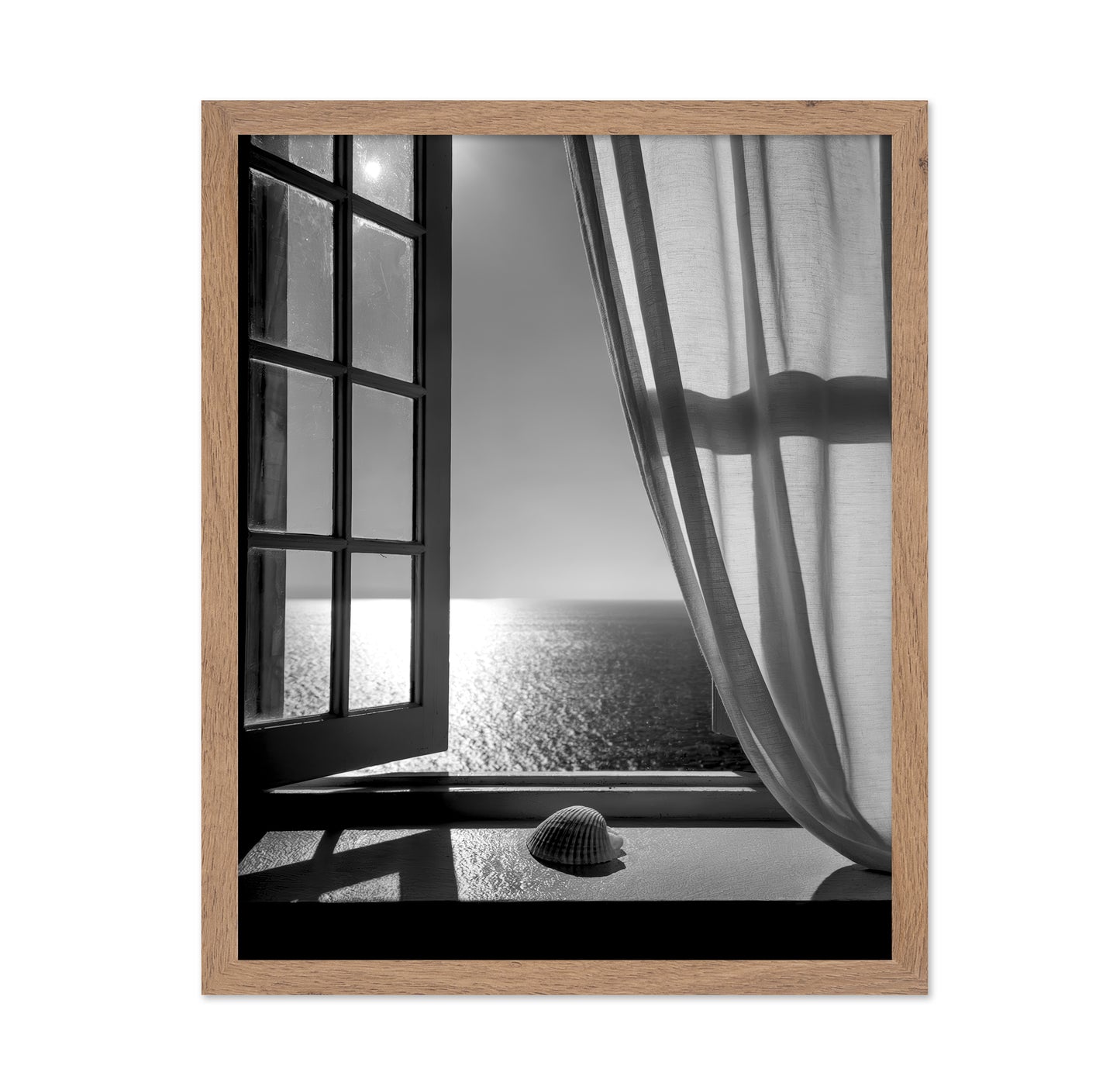 The Seashell In the Window