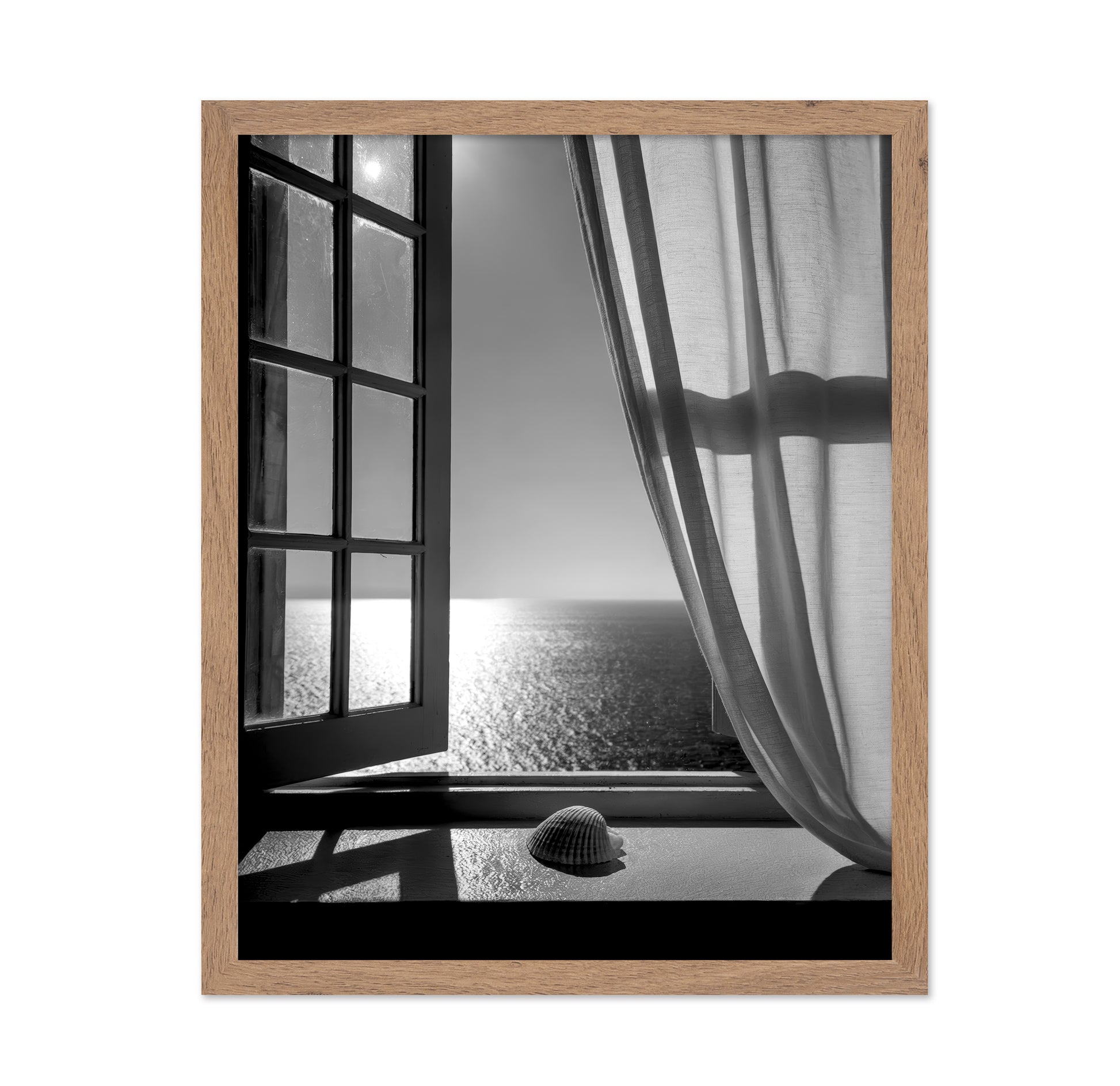 The Seashell In the Window