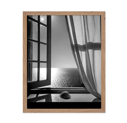 The Seashell In the Window