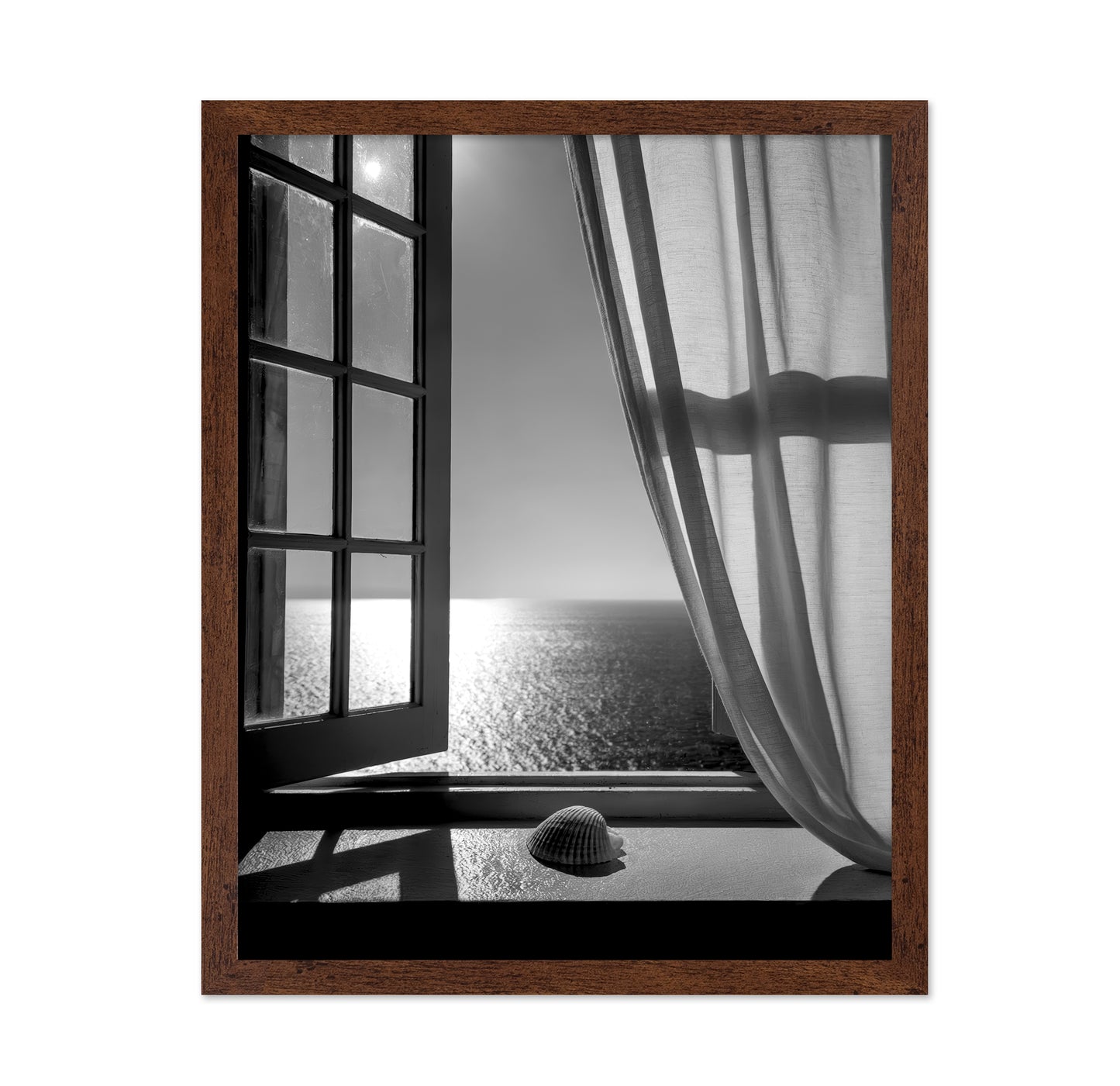 The Seashell In the Window