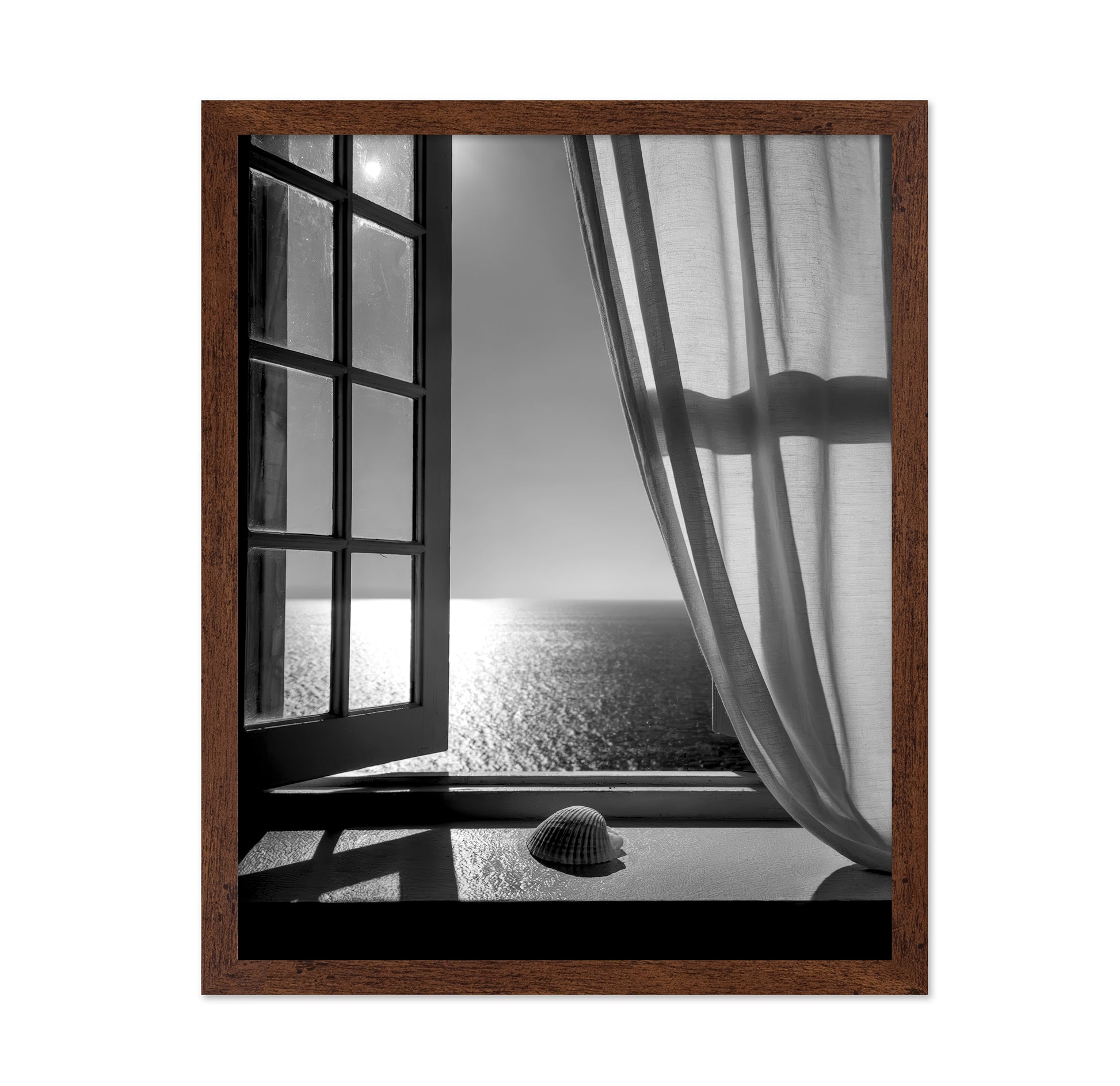 The Seashell In the Window