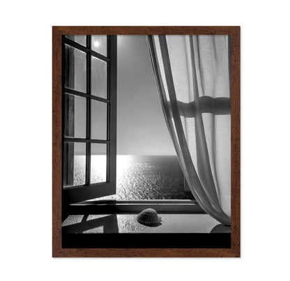 The Seashell In the Window